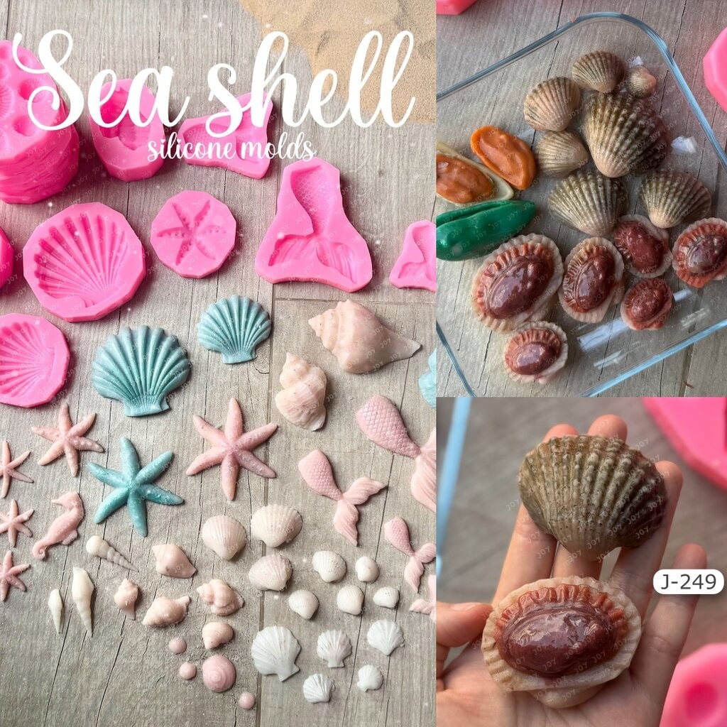 รวมแม่พิมพ์ เปลือกหอย หอยแครง ปลาดาว เหมือนจริงคมชัดทุกแบบ