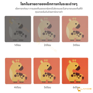 LAKOE การ์ดคำศัพท์ Flash Card การ์ดเสริมพัฒนาการ กระตุ้นการพัฒนาพลังสายตาและสมองของเด็กเป็นเวลา 0-36 เดือน