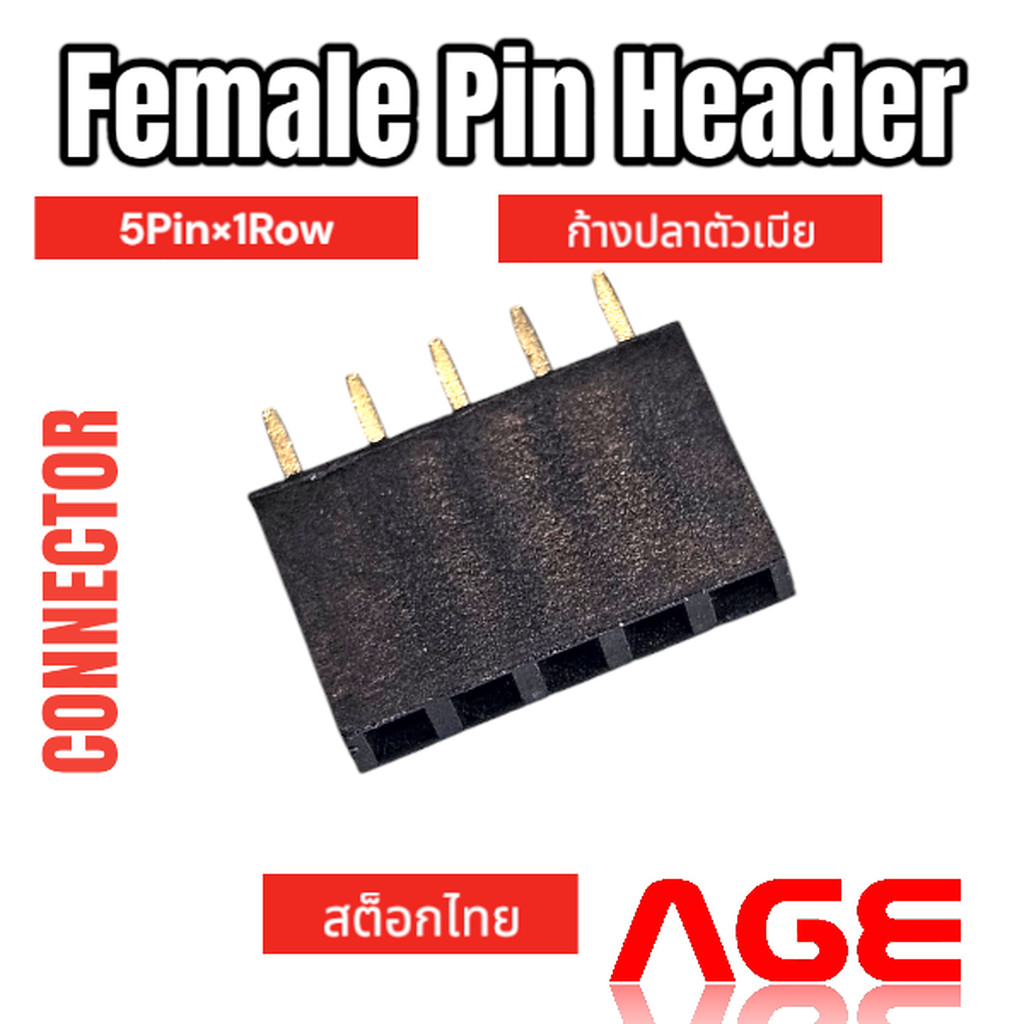 Female Pin Header Connector 5 Pin (5PinX1Row), Pitch 2.54mm Female ก้างปลาตัวเมีย