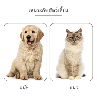 YTL อกไก่ อกไก่แมว อกไก่นึ่ง อกไก่คลีน 40 กรัม มีคุณค่าทางโภชนาการ อาหารเปียกแมว อกไก่ต้ม ขนมหมา ขนมแมว