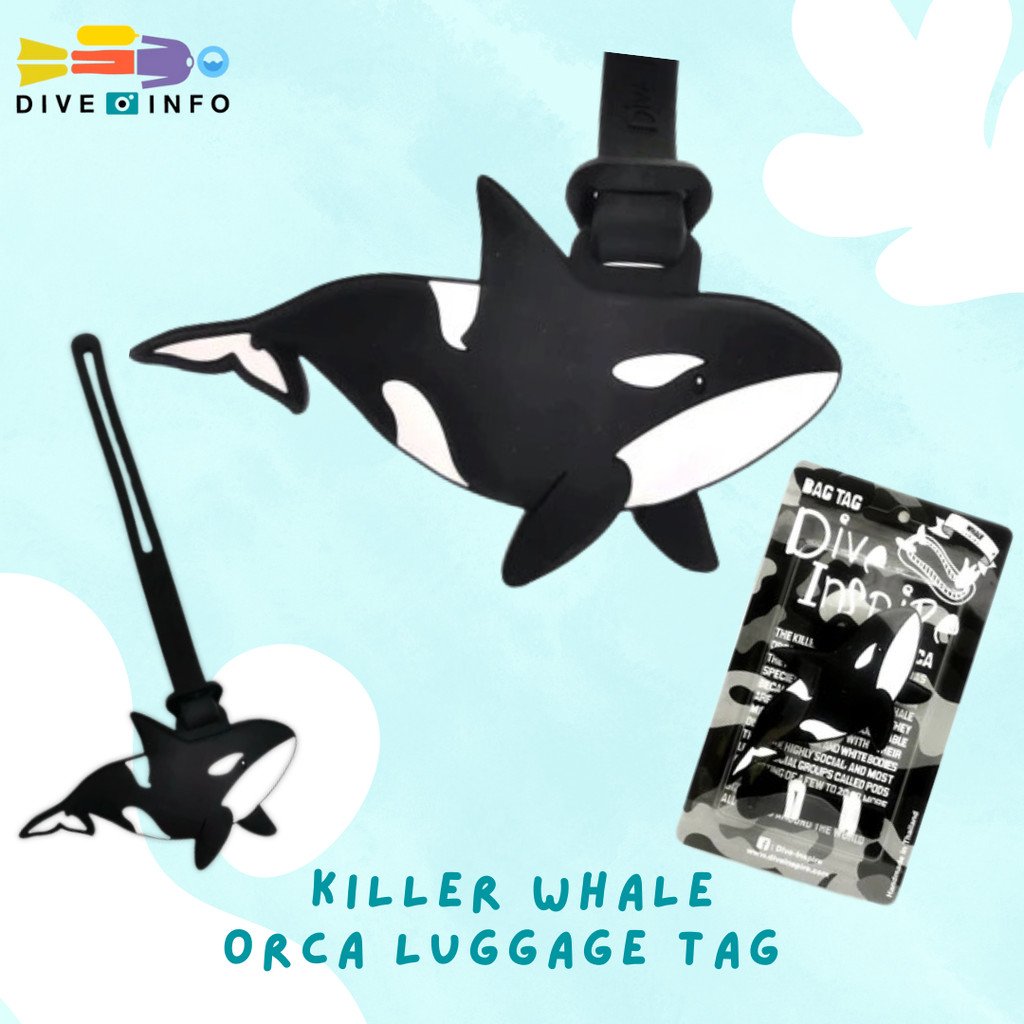 Dive Inspire Luggage Tag, Bag Tag, Key-Ring, NUDI Blind Box รวมของน่ารัก ของที่ระลึก