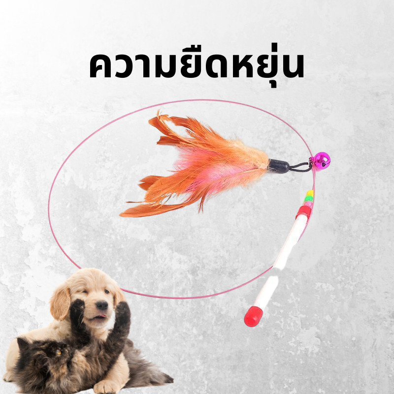 🔥พร้อมส่งในไทย✨ไม้ล่อแมว ไม้ตกแมว ของเล่นแมว ไม้ตบแมว มีกระดิ่ง/ ไม้แมว ขอเล่นแมว ไม้แมว ยาวสุด ไม้ตกแมวขนนก - รูปที่ 5