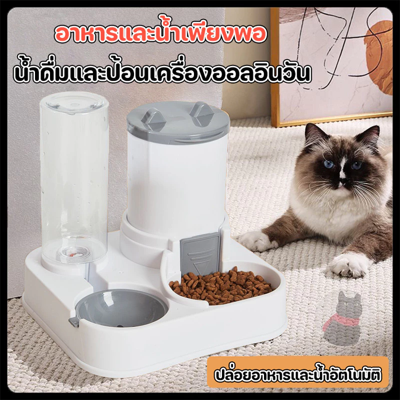 ที่ให้อาหารสัตว์เลี้ยง สเตนเลส ที่ให้น้ำสัตว์เลี้ยง ที่ให้อาหาร-น้ำอัตโนมัติ ทนทาน เกรดพรีเมี่ยม 2IN1