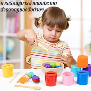 พร้อมส่ง Montessori Rainbow Ball ลูกบอลไม้ เด็กปริศนาไม้ของเล่นสีความรู้ความเข้าใจการจำแนกถ้วย