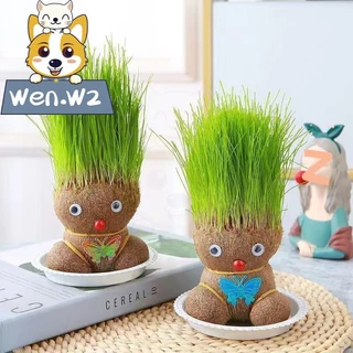 wen.W2 ตุ๊กตาหัวหญ้า หญ้าแมว ตุ๊กตาผมเป็นต้นไม้