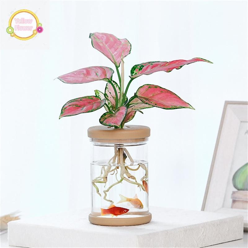 กระถางดอกไม้สีเหลืองสําหรับหม้อแจกันแก้วเลียนแบบปลูกกระถางขนาดเล็กพืชสีเขียวแจกันดอกไม้ TH