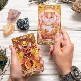 น่ารัก Nine Lives Cats ไพ่ทาโรต์ 78 ดาดฟ้า ความบันเทิง ไพ่ทาโรต์ Fate Divination fate Tarot Fortune-telling เกมกระดาน