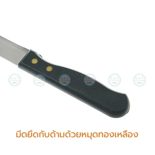 Jaguar มีดหั่นสเต๊ก 22 ซม. ตราจากัวร์ มีดหั่นเนื้อ มีดแล่สเต๊ก มีดหยัก มีดสเต็ก