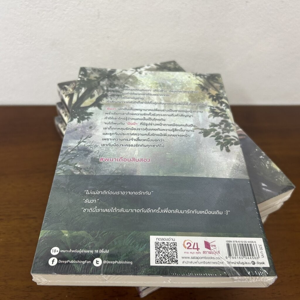 ✨โค้ดลดเพิ่ม 20% ทักแชท✨ [YAOI] พนาเดือนสิบสอง หนังสือใหม่ ... AveryPie นิยายวาย - รูปที่ 3