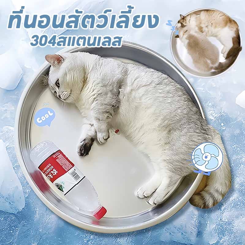 ใหม่ล่าสุด ที่นอนสัตว์เลี้ยง Pet Cool Mat ที่นอนแมว เตียงสุนัข 304สแตนเลส เย็นสบาย ทำความสะอาดง่าย36/40/45/50/55cm