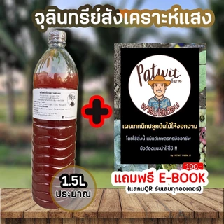 (หัวเชื้อ)จุลินทรีย์สังเคราะห์แสง1500ml. สูตรเข้มข้นสีแดงสด ใช้ขยายเชื้อต่อได้ไม่รู้จบ