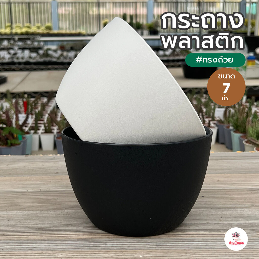 กระถางแคคตัสทรงถ้วย 7 นิ้ว กระถางพลาสติก แคคตัส กระบองเพชร ไม้อวบน้ำ Cactus&Succulent