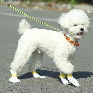 Doge&Orange พร้อมส่ง ปลอกเท้าสำหรับสัตว์เลี้ยง ที่หุ้มเท้าแมว รองเท้าสุนัข 20 ชิ้น/แพ็ค รองเท้าใช้แล้วทิ้ง PU117