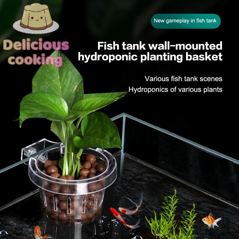 [ทําอาหารแสนอร่อย] Aquarium s Plant Holder ถ้วยพืชน้ําใส Aquarium Plant Holder แขวนด้านบน Fish Aquarium Accessories [ใหม่]
