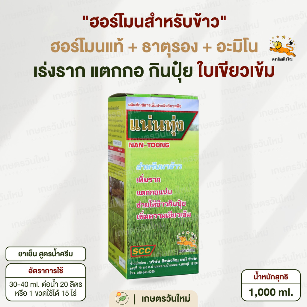 แน่นทุ่ง ข้าวรากขาว ข้าวกินปุ๋ย ต้นข้าวเขียว ใบตั้ง แตกกอดี จากธาตุอาหารแท้ - อาหารเสริม 1000 ml. / สิงห์เจริญ