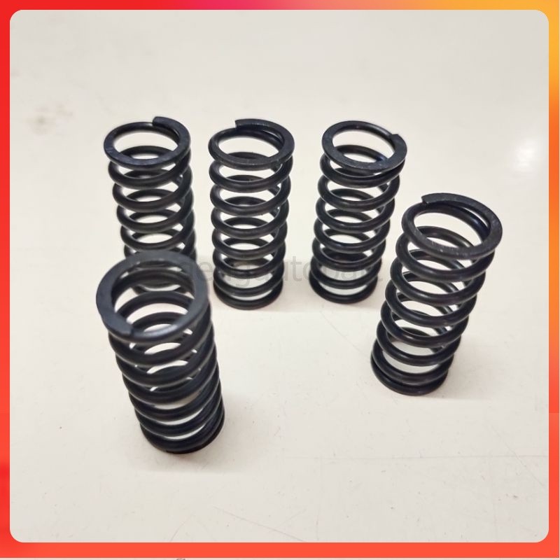 RG110 RGV STANDARD RACING CLUTCH CLUCTH SPRING