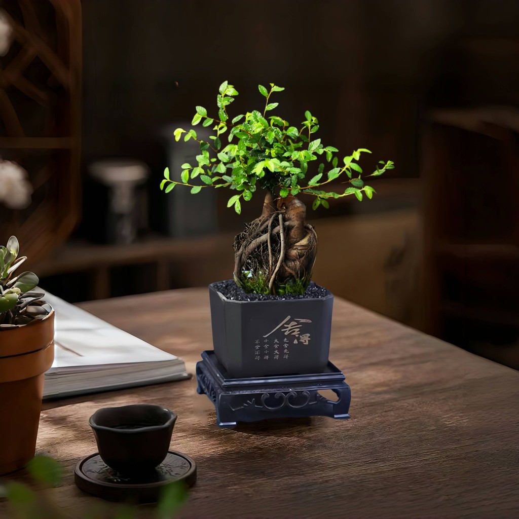Shop Camel Elm ยกรากรูปร่างรากแปลกกระถางต้นไม้จีน Zen สํานักงานในร่มโต๊ะน้ําชาเดสก์ท็อปพืชสีเขียวดอก