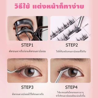 YTL ซีรีส์ 12 นักษัตร ขนตาปลอม 3D ไม่ต้องใช้กาว มีกาวในตัว ขยายตา ติดทน ใช้ซ้ำได้ เหมาะสำหรับมือใหม่ 30/36 ช่อ/กล่อง