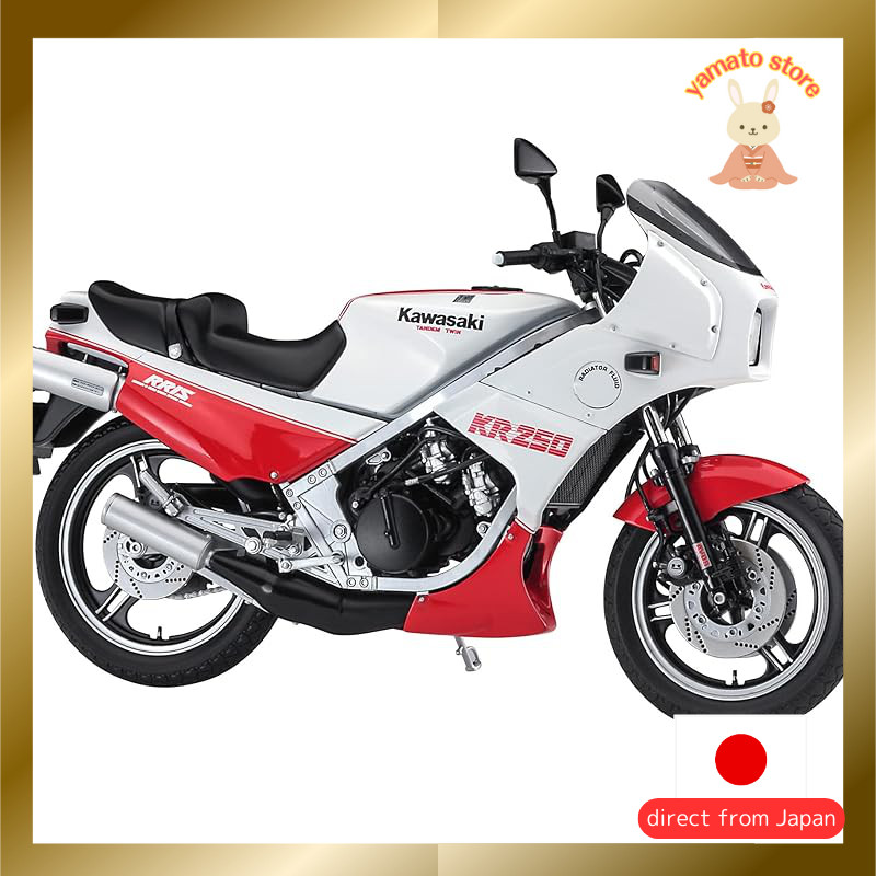 Hasegawa 1/12 Kawasaki KR250 (KR250A) White/Red Color Plastic Model 21745
