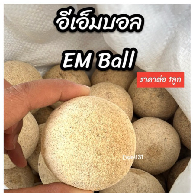 อีเอ็มบอล EM Ball อีเอ็ดบำบัดน้ำเสีย จำนวน1ลูก