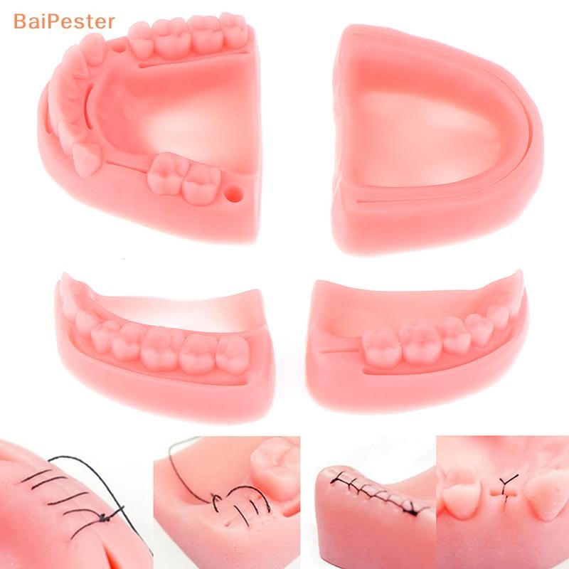 [BaiPester] โมเดลเย็บแผลในช่องปากจําลอง 4 ชิ้น อุปกรณ์ฝึกการสอนการเย็บหมากฝรั่ง