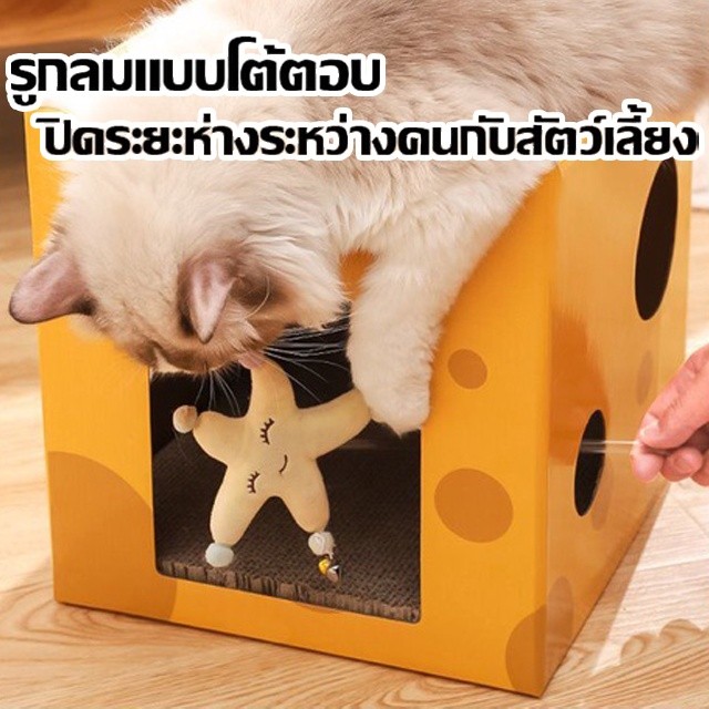 ที่ลับเล็บแมว ที่ลับเล็บชีส บ้านแมว ที่นอน ของเล่นแมว ลับเล็บได้  2 ชั้น ราคา ถูกที่สุด ดีลบีเคเค แกลเลอรีภาพที่ 2