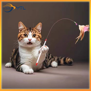 YTL  (📍พร้อมส่ง📍) ของเล่นแมว, ของเล่นแมวสปริง, ของเล่นแมวลวด…