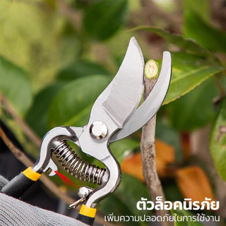 กรรไกรตัดกิ่งไม้ กรรไกรตัดกิ่ง กรรไกรทำสวน กันไกรตัดกิ่งไม้ 8 นิ้ว ดอกไม้ เครื่องมือจัดทำสวน Pruning Shears
