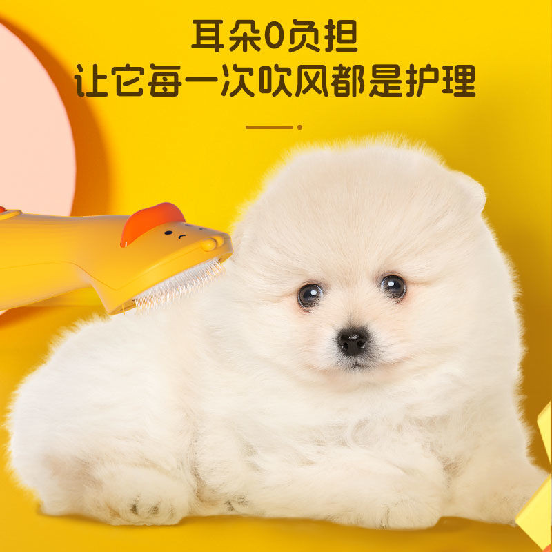 ไดร์เป่าขนสัตว์เลี้ยง ไดร์เป่าขนสุนัข หวีเป่าผมสัตว์เลี้ยงเครื่องเป่าผมสุนัขกําจัดขนแมวกําจัดขนอุณหภูมิคงที่อบแห้ง2 ใน 1อุปกรณ์กรูมมิ่ง - รูปที่ 3