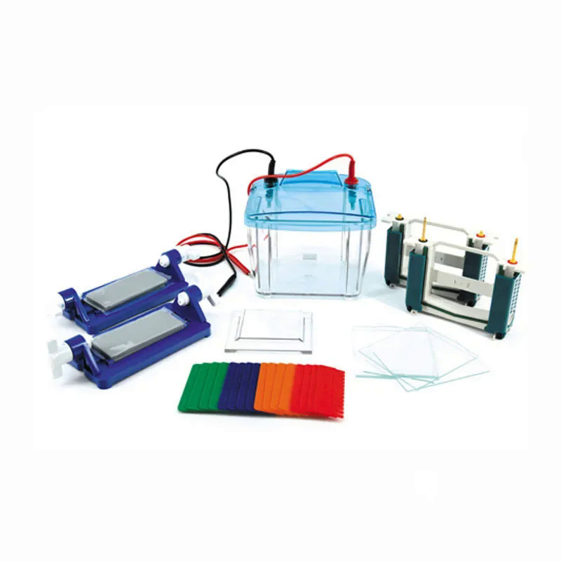 Protein Electrophoresis Cell P4 Vertica Protein Electrophoresis Tank DYCZ-25E For SDS-PAGE Experimen