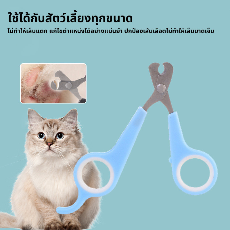 พร้อมส่ง กรรไกรตัดเล็บสัตว์เลี้ยง  กรรไกรตัดเล็บสแตนเลสสุนัขและแมว กรรไกรตัดเล็บแมว กรรไกรตัดเล็บสัตว์ ด้ามจับกระชับมือ
