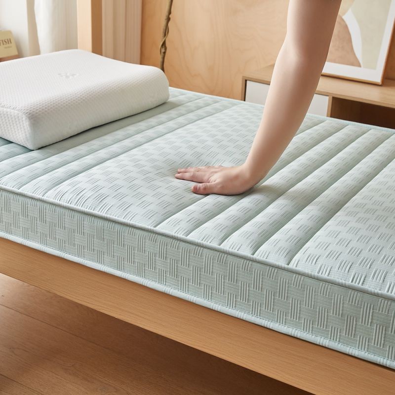 การขนส่งอย่างรวดเร็ว