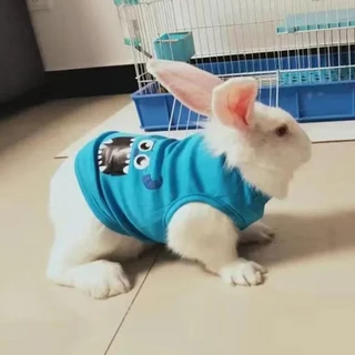 เสื้อกั๊กสัตว์เลี้ยงสําหรับกระต่ายแมวฤดูร้อน Breathable Rabbits เสื้อผ้าผมไม่ติดหวานพิมพ์กระต่ายเสื้อผ้าชุดนอน ubranko dla kota