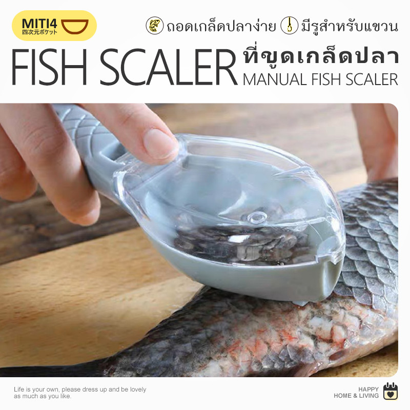 MITI4 พร้อมส่ง เครื่องขูดเกล็ดปลา ที่ขอดเกล็ดปลา แบบใช้มือ มีกล่องเก็บเกล็ดปลา ไม่เลอะมือ เครื่องมือในครัว COD MITI246