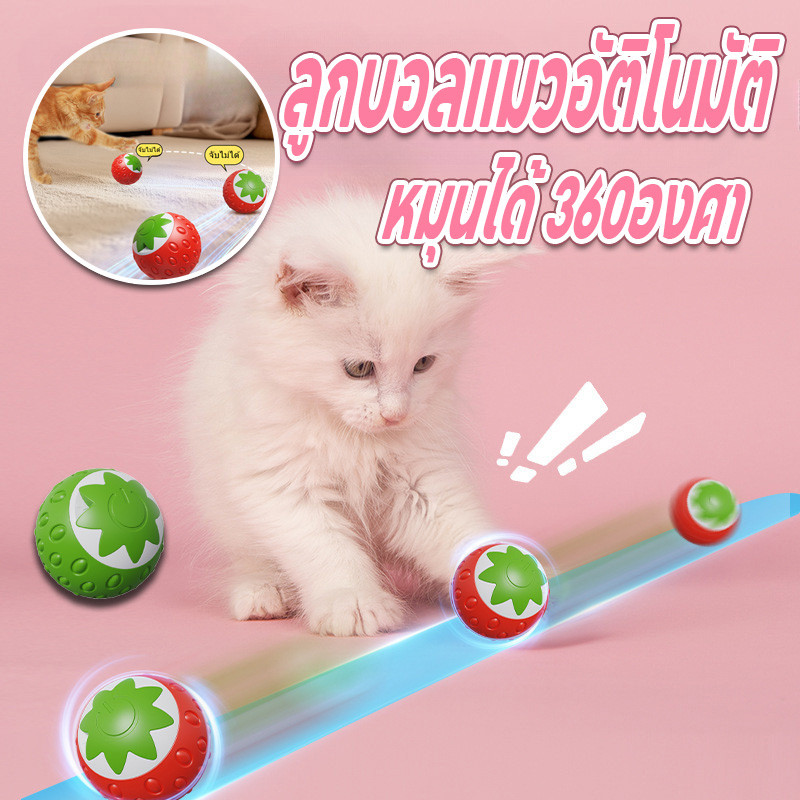 พร้อมจัดส่ง ลูกบอลแมวอัติโนมัติ รูปร่างสตรอเบอร์รี่ ของเล่นแมวอัจฉริยะ หมุนได้ 360องศา ลูกแมวหยอกล้ออัตโนมัติ