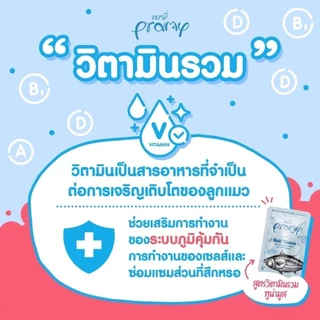[ซอง] Pramy อาหารเปียกแมว อาหารลูกแมว อาหารแมวโต อาหารแมวสูงวัย สูตรใหม่ ขนาด 70g