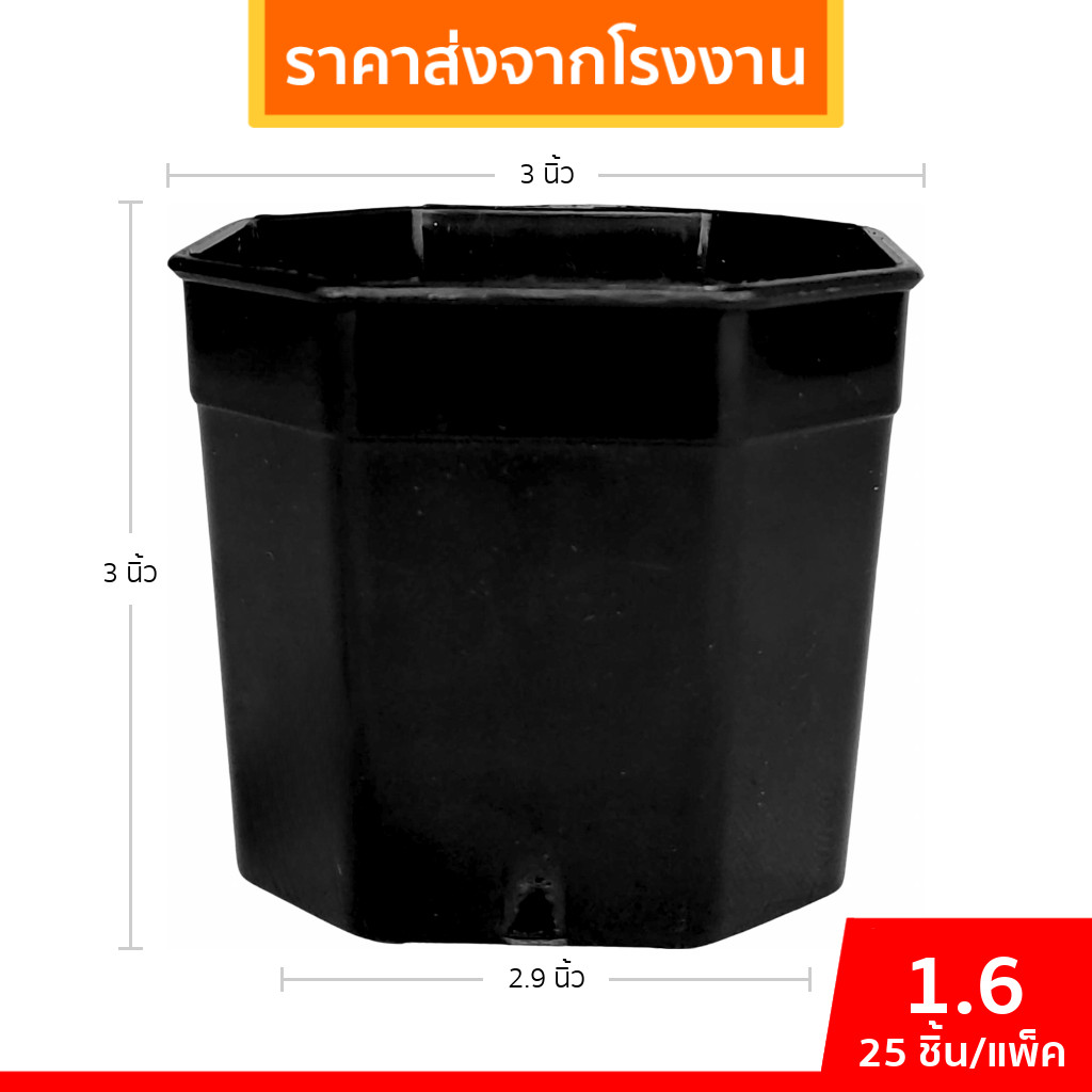 กระถางต้นไม้ กระถาง 8 เหลี่ยม กระถางแคลตัส เบอร์ 3 นิ้ว สีดำ 25 ใบ ชิ้น ยกมัด