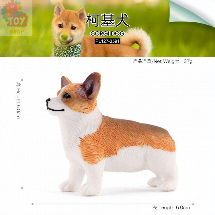 โมเดลสุนัขที่เหมือนจริง ชิวาวา ชิบะอินุ คอร์กี้ บูลเทอร์เรีย ของเล่นสำหรับเด็ก - รูปที่ 7