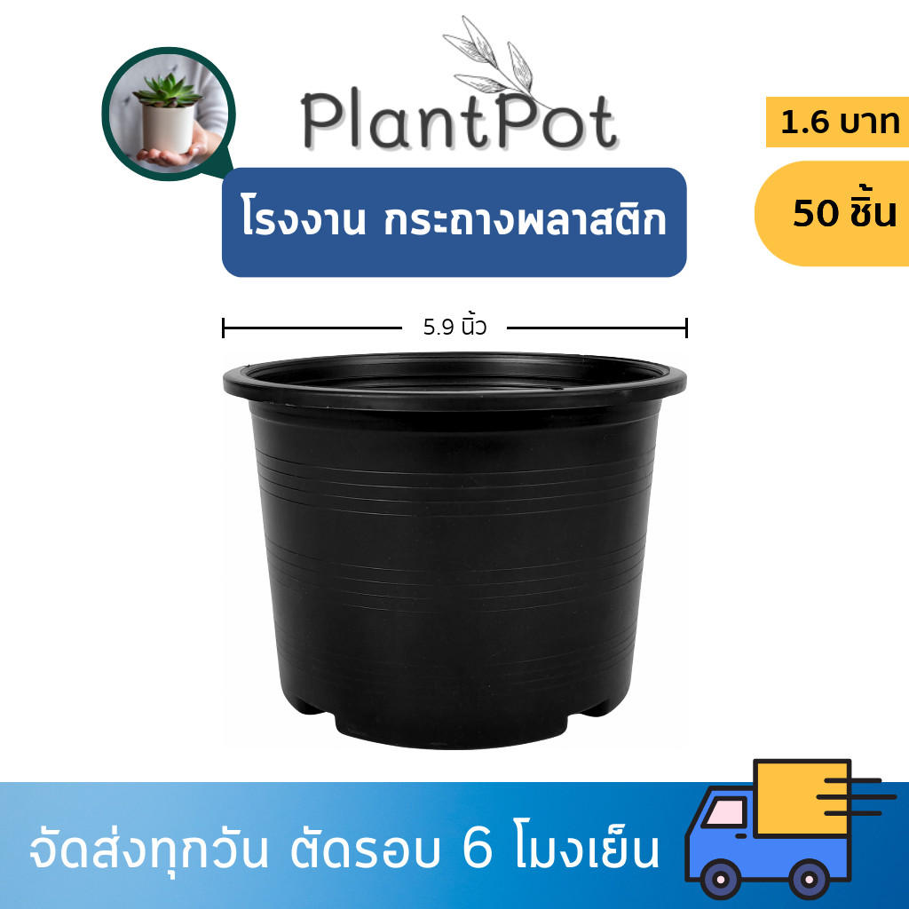 กระถาง กระถางต้นไม้ กระถางพลาสติก เบอร์ 6 นิ้ว สีดำ 50 ใบ ยกมัด