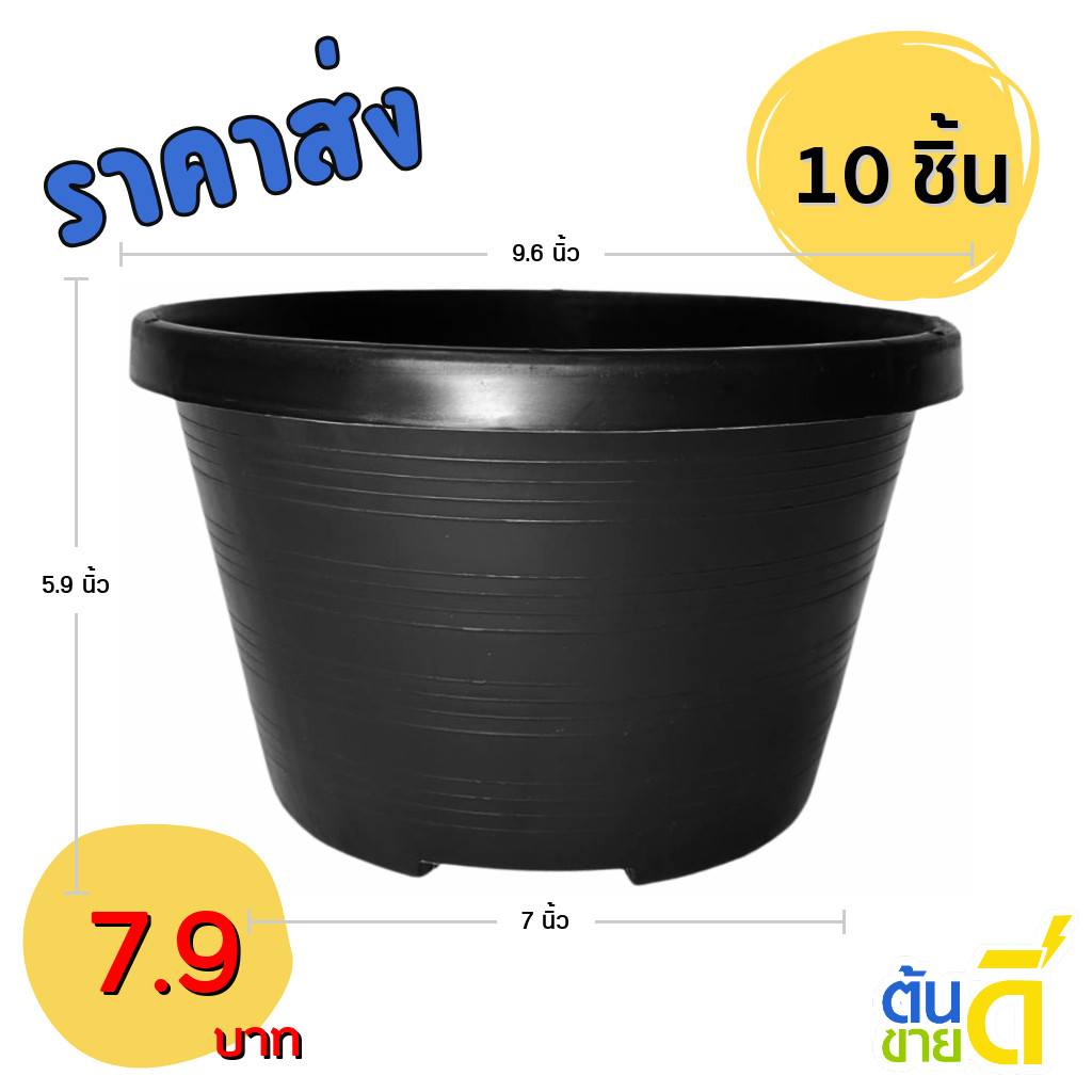 กระถาง กระถางทรงถ้วย กระถางเตี้ย ขนาด เบอร์ 10 9.5 นิ้ว สีดำ ยกมัด 10 ใบ