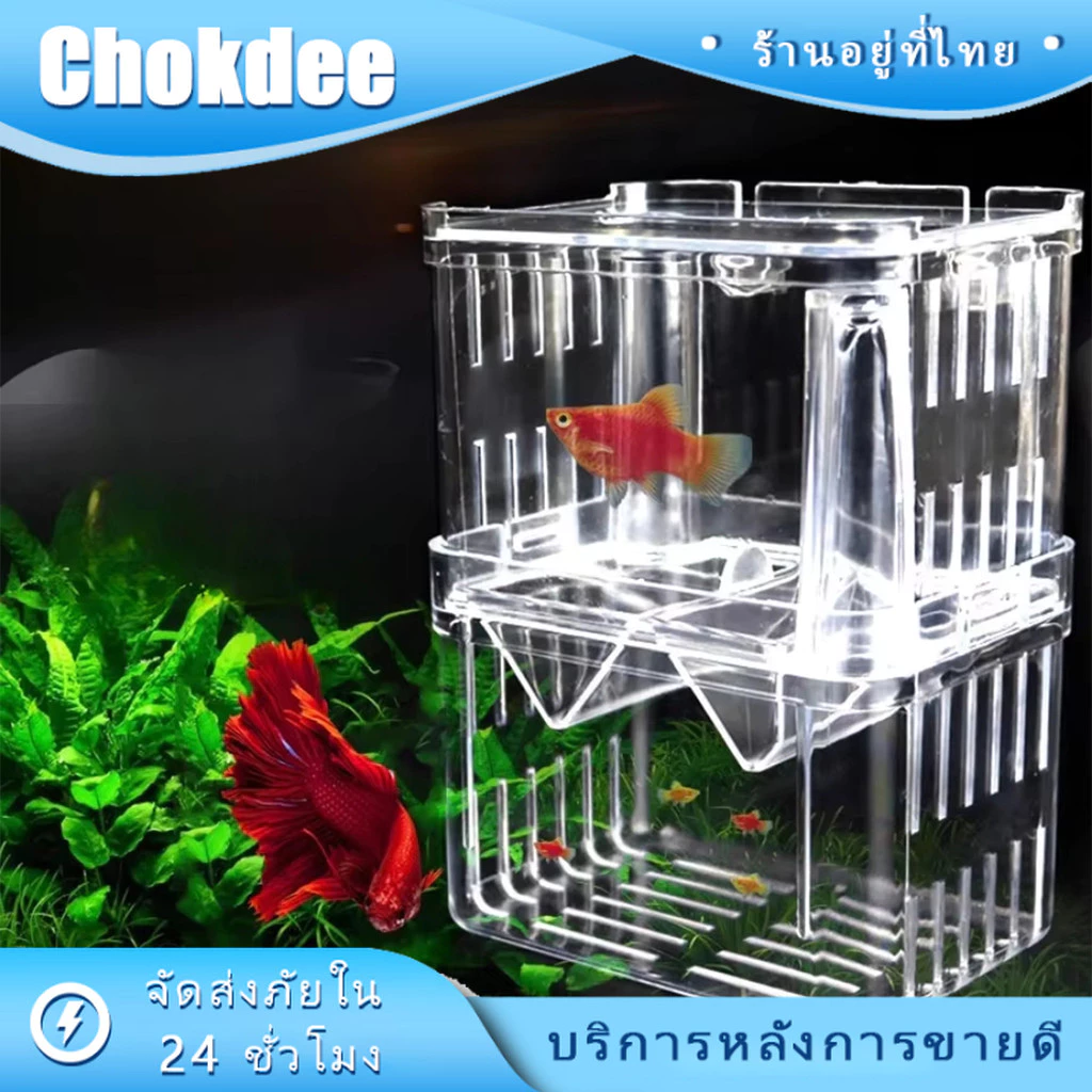 ตู้แยกปลาคลอดลูก กล่องคลอดปลา 2 ช่อง 2 ขนาด