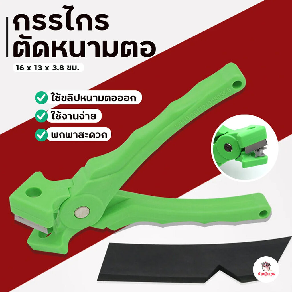 กรรไกรตัดหนามตอ คีมตัดหนามตอ ตัดหนามตอสามเหลี่ยม แคคตัส กระบองเพชร cactus&succulent