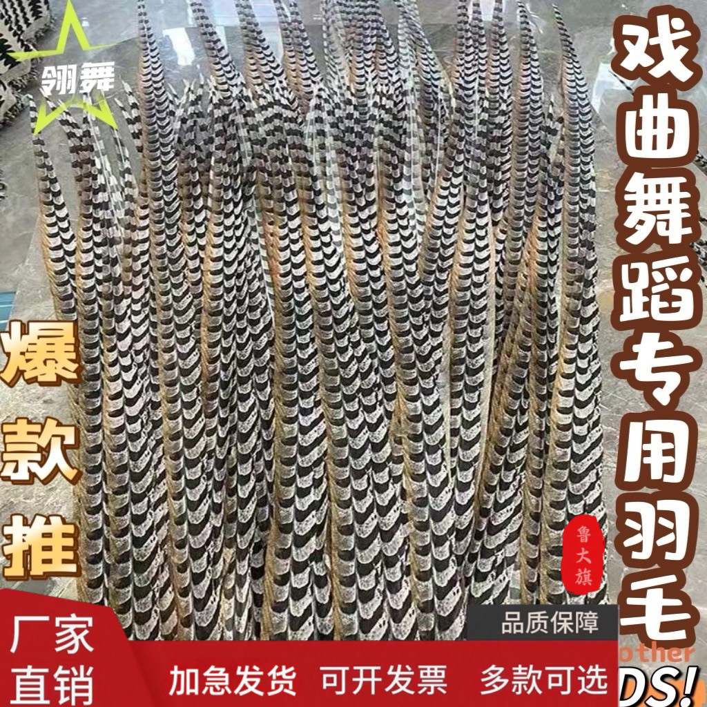 Feather Dance Props Feather Headdress Feather ขนไก่ Peking Opera Huadan Wild ไก่ฟ้า Feather Headdress อุปกรณ์เสริมผม Feather