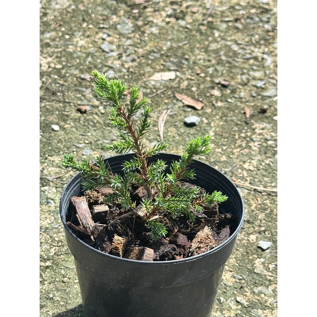 มุมมอง 2