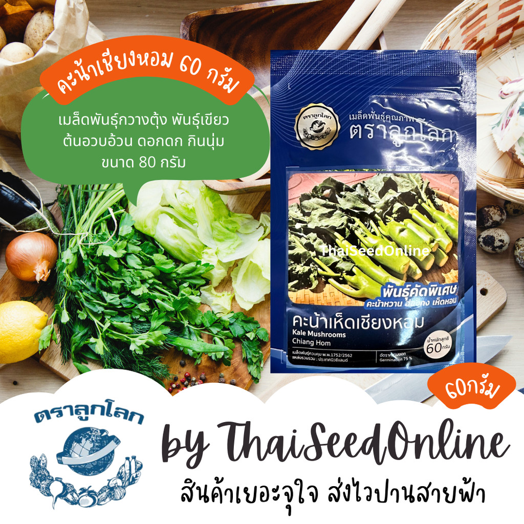 NTC เมล็ดพันธุ์ ขนาด 60กรัม คะน้าเห็ดหอม คะน้าหวาน คะน้าเชียงหอม ตราลูกโลก – โปรปัง