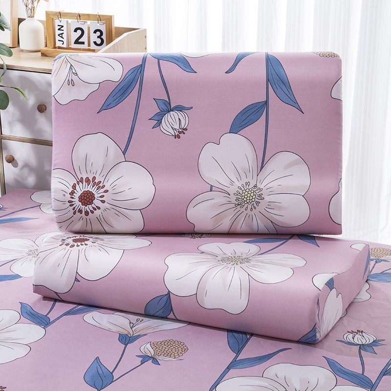 Latex Pillow Special Pillowcase One-Pair Package Household Four Seasons Skin-Friendly 30x50 Student 