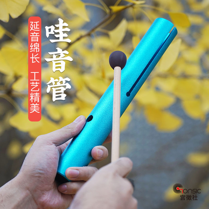 20250521Wow Wow Pipe Wow Pipe Germany Wow Wow อุปกรณ์การศึกษาปฐมวัยแบบพกพา Pitch Therapy เครื่องดนตร