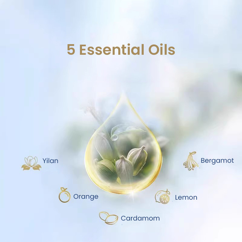 Safeguard Soap DETOX Pore Clean Face Hand Bath Cleaning สบู่มัลติฟังก์ชั่น กลิ่น Ebony Rose 108g - รูปที่ 4