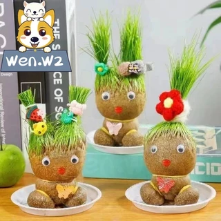 wen.W2 ตุ๊กตาหัวหญ้า หญ้าแมว ตุ๊กตาผมเป็นต้นไม้