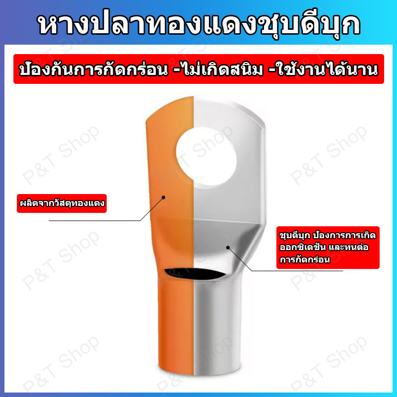 1 ชิ้น หางปลาทองแดงรุ่นหนา หางปลาแบตเตอรี่ หางปลาทรงยุโรป สำหรับสายขนาด 6,10,16,25,35,50 sqmm.. - รูปที่ 3